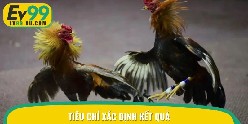 Những tiêu chí phù hợp xác định kết quả